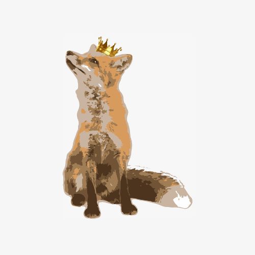 יעקב חיטרין - ספק